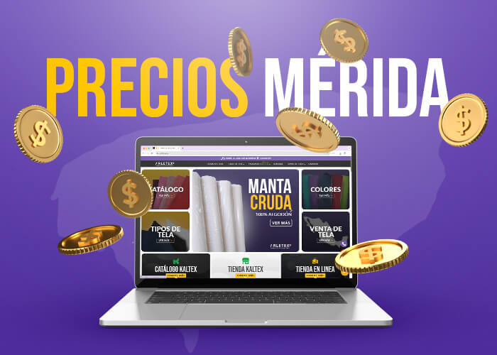 Precio De Las Telas En Mérida