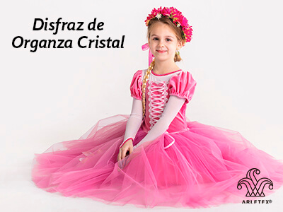 Disfraz confeccionado con tela Organza cristal